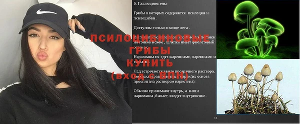 спайс Алексеевка