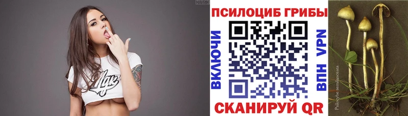 мега ССЫЛКА  Раменское  Псилоцибиновые грибы Psilocybine cubensis 