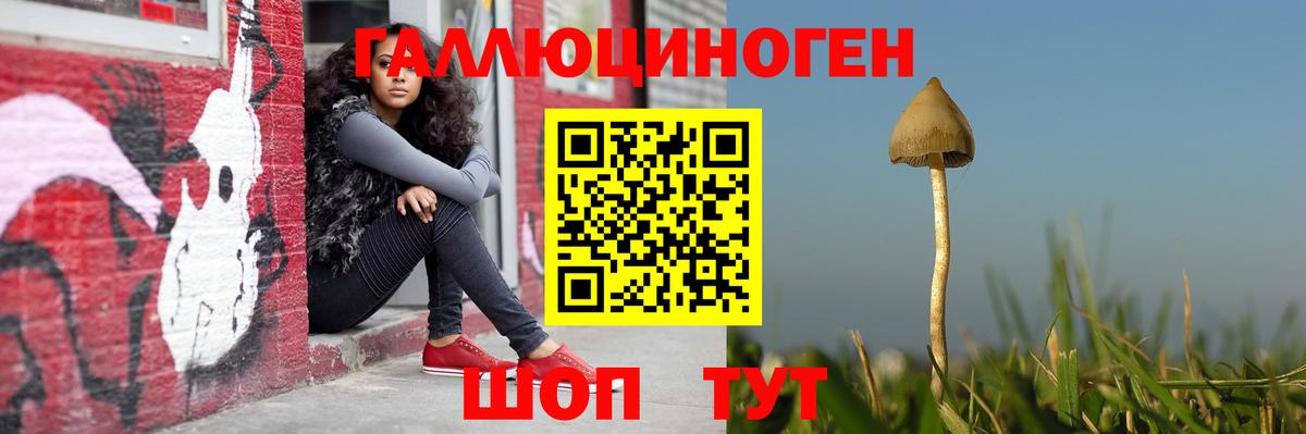 Галлюциногенные грибы Psilocybe Раменское